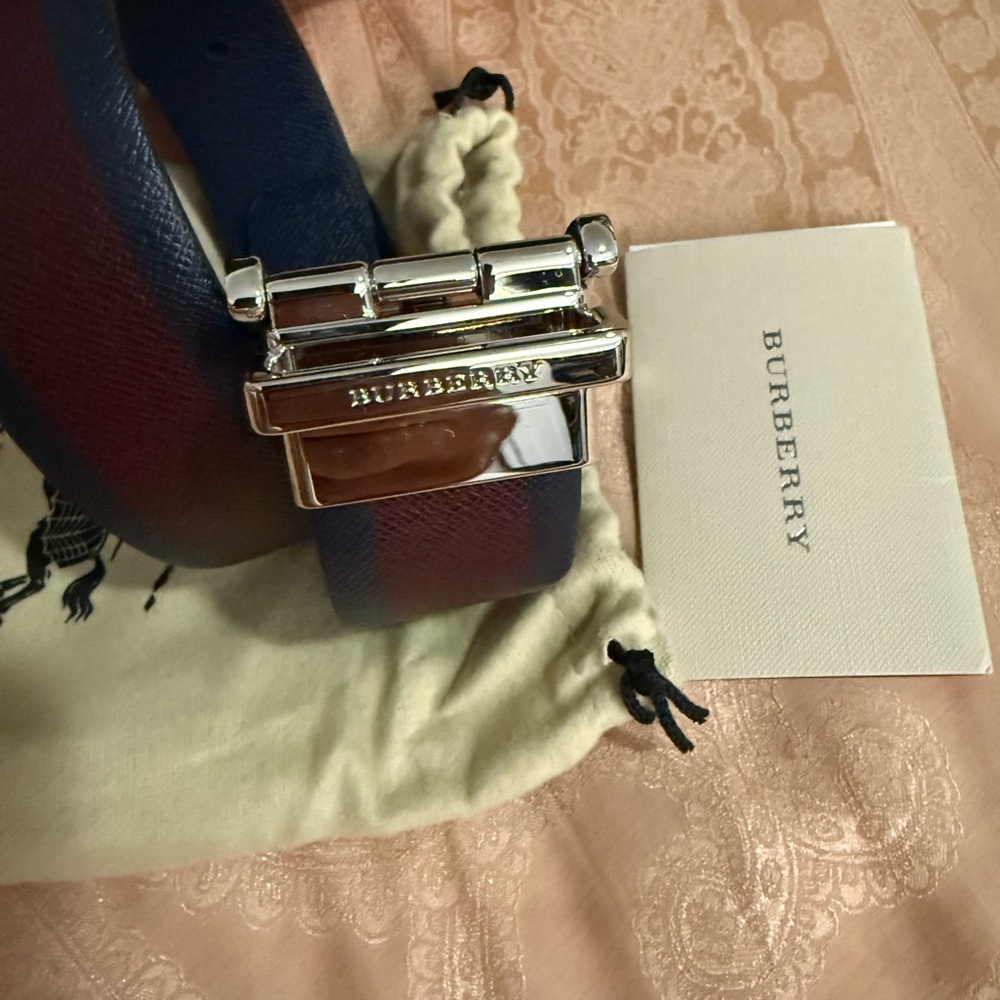 Burberry Blue and Brown Leather Shoulder Bag with Silver Hardware - Picture 12 of 13